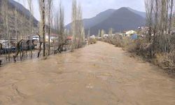 Şırnak’ta şiddetli yağış sonrası Habur Çayı coştu