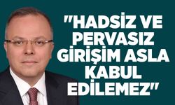 "Hadsiz ve pervasız girişim asla kabul edilemez"