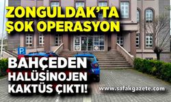 Zonguldak’ta Şok Operasyon: Bahçeden Halüsinojen Kaktüs Çıktı!