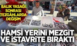 Balık yasağı sonrası tezgâhlarda değişim: Hamsi yerini mezgit ve istavrite bıraktı