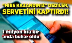 Telefonuna gelen "hibe kredi" mesajına inandı, 1 milyon lirasından oldu