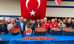 Kuzey yarımkürenin ilk kirazı rekor fiyatla satıldı