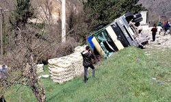 Kamyon virajı alamayarak devrildi: Sürücü kurtuldu, tavuklar telef oldu