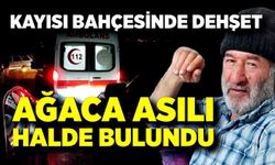 Kayıp olarak aranan adam, kayısı bahçesinde ölü bulundu