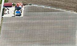 Kadın girişimciden tarımda akılcı çözüm