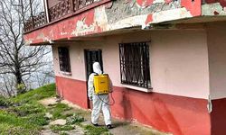 Kahverengi Kokarcaya Kışlakta Müdahale