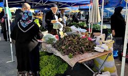 Şifa dağıtan kaldirik otu tezgahlardaki yerini aldı