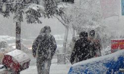 Kar biranda geldi her taraf bembeyaz oldu