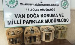 Keklik avlayan şahsa 86 bin 278 lira para cezası