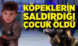 Köpeklerin saldırdığı 5 yaşındaki çocuk hayatını kaybetti