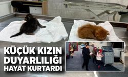 Küçük kız fark etti, 2 yavru kedi hayata döndü