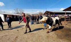 Kurban Pazarı erken sındı: Fiyat tartışmaları kızıştı