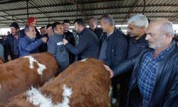 Kurban pazarlarında erken hareketlilik başladı