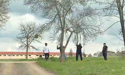 Mangal için ağaç dalını kırmaya çalıştılar iddiası