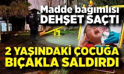 Parkta oynayan 2 yaşındaki çocuğa bıçaklı saldırı