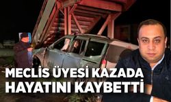 Meclis üyesi kazada hayatını kaybetti