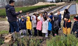 Minik öğrenciler erguvan tohumlarını toprakla buluşturdu