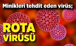 Minikleri tehdit eden virüs; Rota virüsü