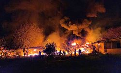 Muz deposu alevlere teslim oldu: 3 saatte kontrol altına alındı