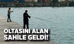 Oltasını alan sahile geldi!