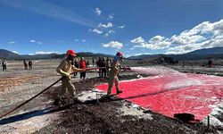 Ormancılar zorlu parkurlarda yarıştı: Hedef Türkiye şampiyonluğu