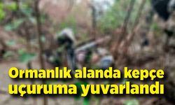 Ormanlık alanda kepçe uçuruma yuvarlandı