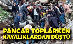 Pancar toplamaya gitti, kayalıklardan düşerek yaralandı