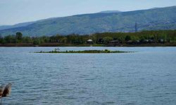 Sapanca Gölü çekildi: Gizemli ada yeniden ortaya çıktı