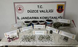 Saksıda kenevir yetiştiren şahıs gözaltına alındı