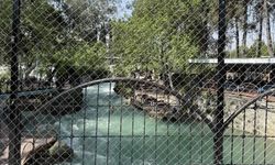 Kayıp genç 11 gündür aranıyor, şelaleye tel örgü