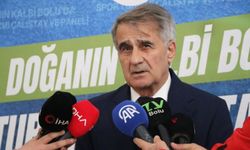 Şenol Güneş: "Milli takımın çeyrek finale kadar rahat gelebilecek bir görüntüsü var"