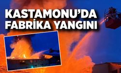 Kastamonu’da fabrika yangını