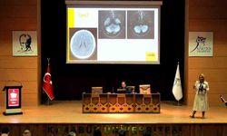 Teorik ve uygulamalı ultrasonografi eğitimi