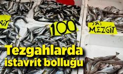 Zonguldak'ta tezgahlarda istavrit bolluğu: Kilosu 100 liradan satılıyor