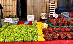Tezgahlarda yaz hareketliliği başladı: Erik ve karpuza olan talep arttı