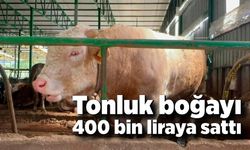Kurban hareketliliği: Tonluk boğayı 400 bin liraya sattı
