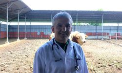 Karanfil: Veteriner hekim sağlıklı yaşamın anahtarıdır