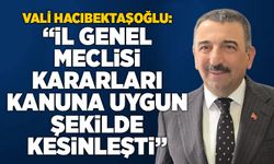 Vali Hacıbektaşoğlu: “İl Genel Meclisi kararları kanuna uygun şekilde kesinleşti”