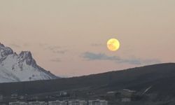Van'da görsel şölen: "Pembe Dolunay" Erek Dağı'ndan yükseldi