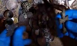 İzmir’de tarihi eser operasyonu: 190 sikke ele geçirildi