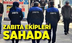 Zabıta ekipleri sahada