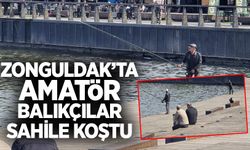 Zonguldak’ta amatör balıkçılar sahile koştu