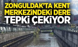 Zonguldak’ta kent merkezindeki dere tepki çekiyor