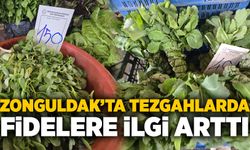 Zonguldak’ta tezgahlarda fidelere ilgi arttı