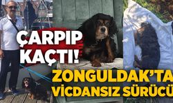 Zonguldak’ta vicdansız araç sürücüsü çarpıp kaçtı!