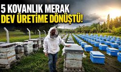 5 kovanla başladı, şimdi 250 kovana ulaştı