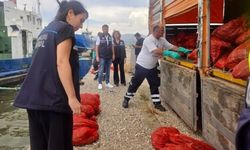 Avcılara ağır darbe: 7 ton kaçak midye ele geçirildi