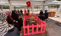 Almina'nın mezarı pembeye boyandı