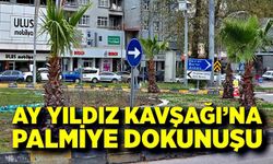 Zonguldak’ın kalbine palmiye dokunuşu