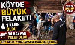 Kastamonu’da göçük felaketi! 1 kadın öldü, 94 hayvan telef oldu